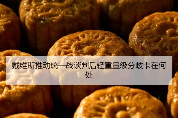 戴维斯推动统一战谈判后轻重量级分歧卡在何处