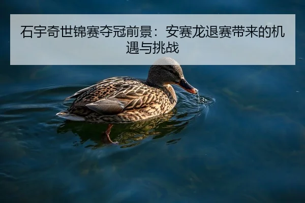 shi-yu-qi-shi-jin-sai-duo-guan-qian-jing-an-sai-long-tui-sai-dai-lai-de-ji-yu-yu-tiao-zhan-2-390.jpg