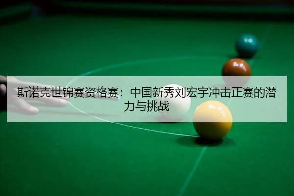 si-nuo-ke-shi-jin-sai-zi-ge-sai-zhong-guo-xin-xiu-liu-hong-yu-chong-ji-zheng-sai-de-qian-li-yu-tiao-zhan-3-511.jpg
