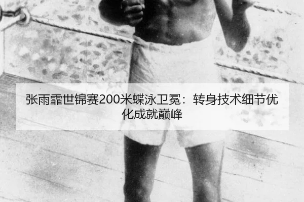 zhang-yu-fei-shi-jin-sai-mi-die-yong-wei-mian-zhuan-shen-ji-shu-xi-jie-you-hua-cheng-jiu-dian-feng-2-900.jpg